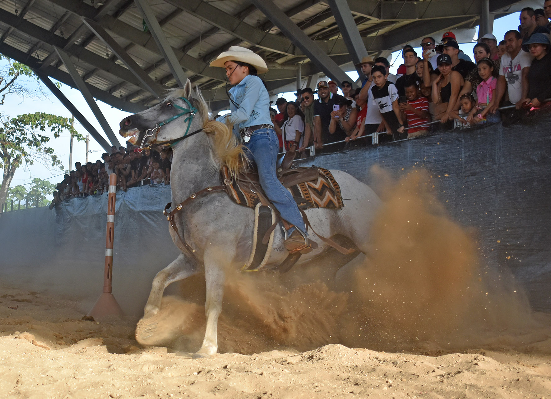 Joven coleadora domando caballo en manga de coleo en los Llanos Orientales de Colombia. Foto | Óscar Fabián Bernal Trujillo.